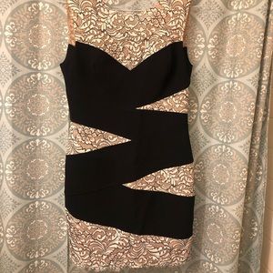 BCBG lace and knit dress